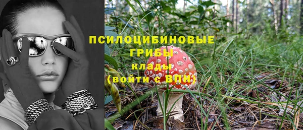 а пвп мука Алзамай