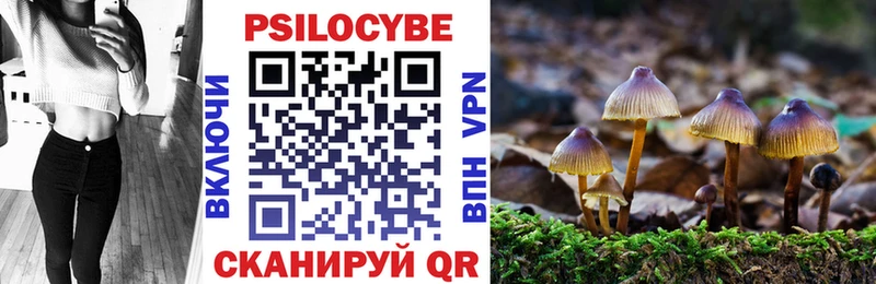 Псилоцибиновые грибы Magic Shrooms  hydra tor  Салехард 